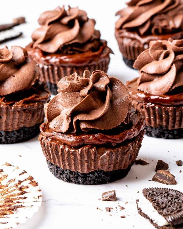 Mini chocolate cheesecake