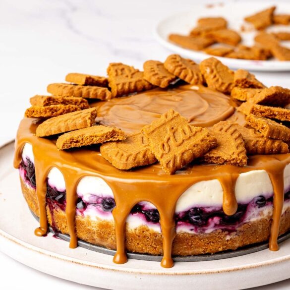 Blueberry Biscoff cheesecake