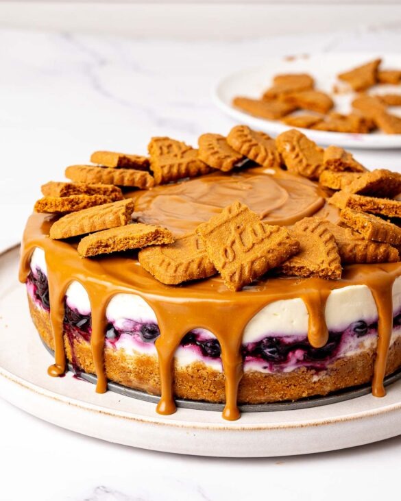 Blueberry Biscoff cheesecake