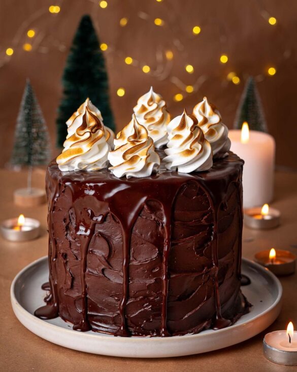 S'mores chocolate fudge cake