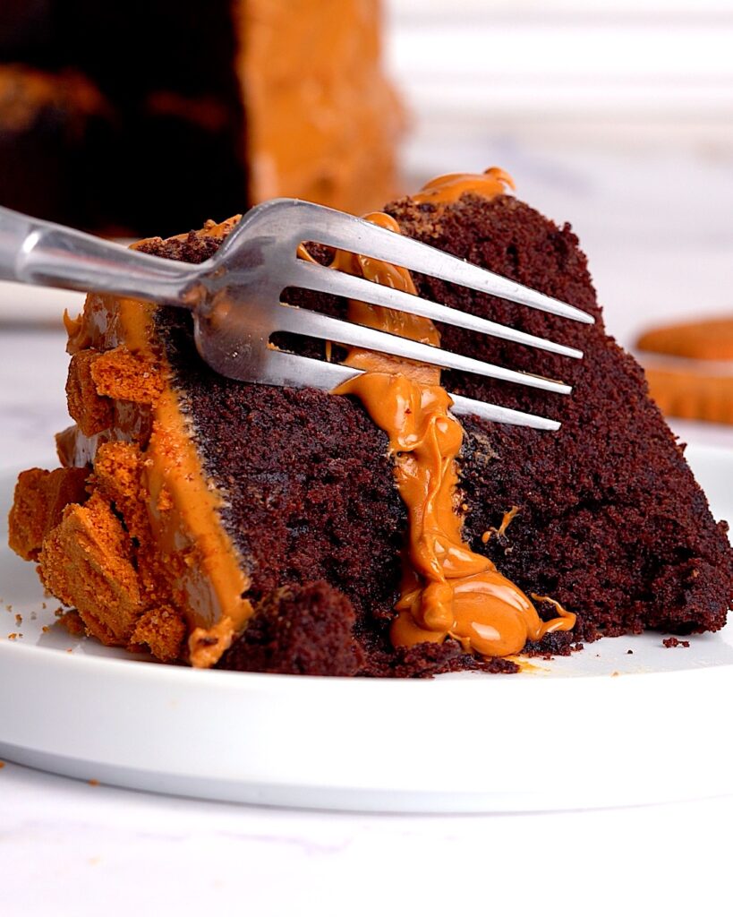 Slice of chocolate Biscoff cake 
