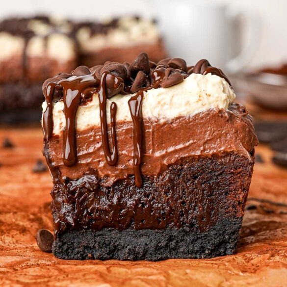 The Best Mississippi Mud Brownies with melted chocolate dripping down with chocolate chips on top.