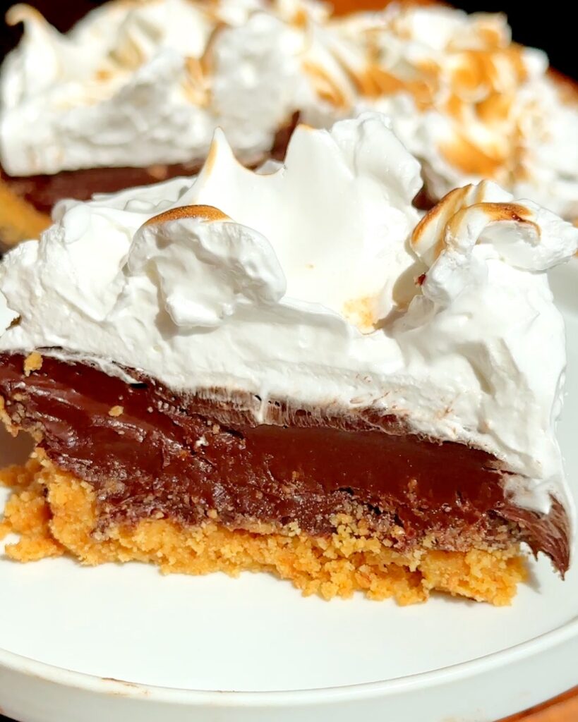 S'mores-no-bake-pie-summer-dessert.jpg - Ems Foodie Fix Slice of chocolate pie with a crumb crust, thick glossy chocolate filling, and a mound of fluffy whipped cream on top, served on a white plate.